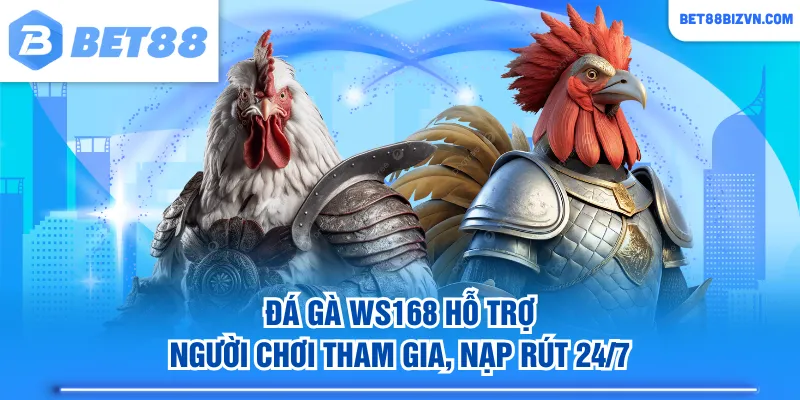 Đá gà WS168 hỗ trợ người chơi tham gia, nạp rút 24/7