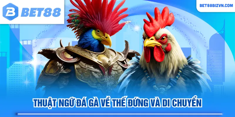 Thuật ngữ đá gà về thế đứng và di chuyển